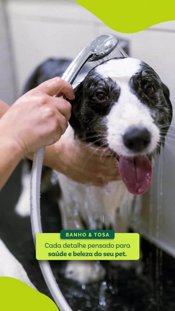 PetLife-Itaim2
